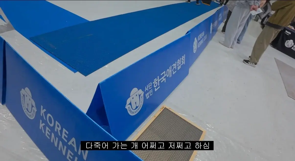 IMG_1213.jpeg