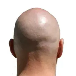 l_2012032201003013600229081.webp