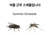 여름 근무 스케줄 업데이트