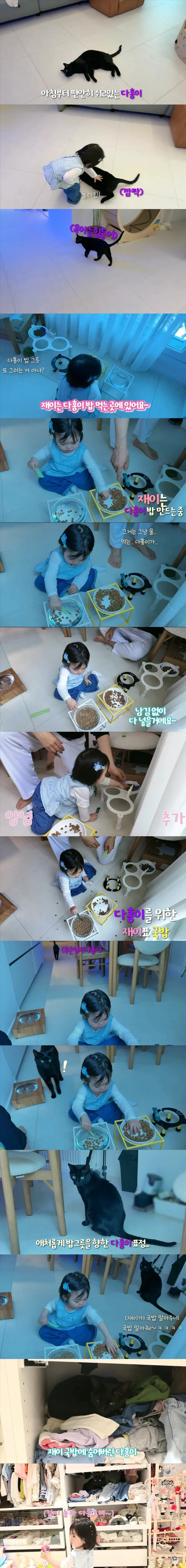 ccq56.jpg