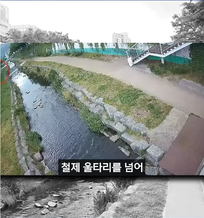 캡처_2026_05_18_17_58_22_451.png