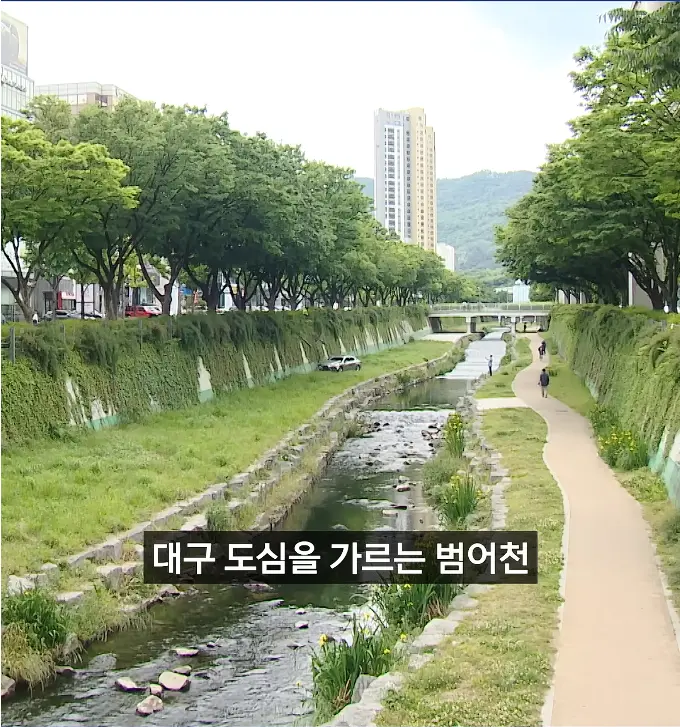 캡처_2026_05_18_17_58_19_279.png