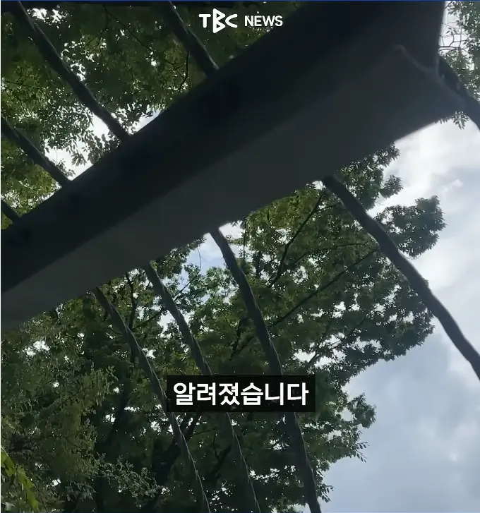 캡처_2026_05_18_17_59_20_257.png