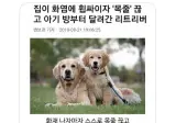 집에 불이 났을 때 동물들 반응