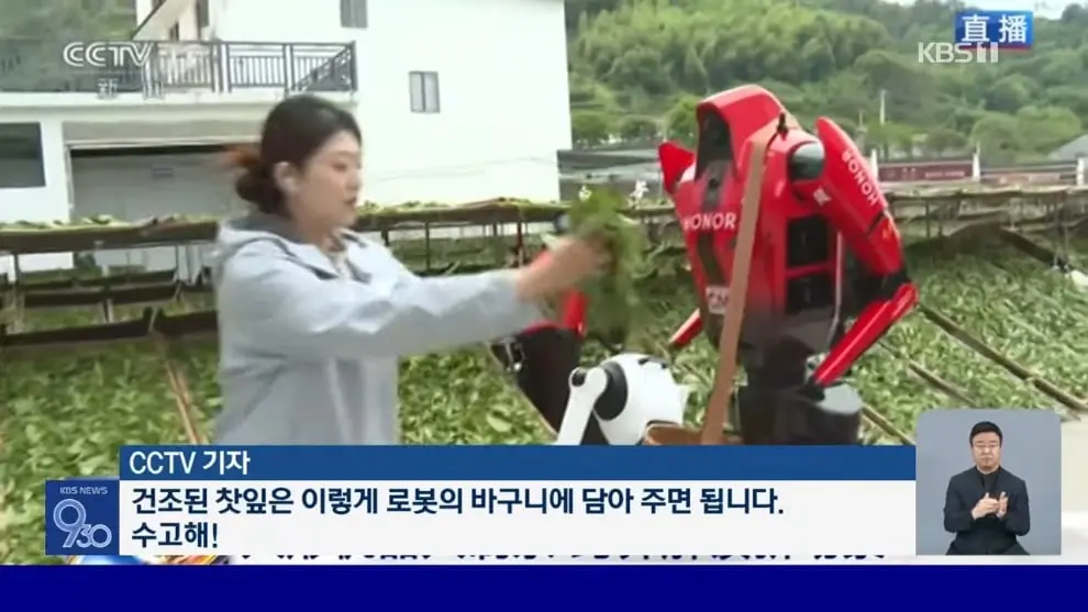 KBS News - [글로벌K] 중국, 농촌 들녘도 로봇…차밭 누비는 휴머노이드 KBS 2026.05.18. [2NzAh_jO4FM - 990x557 - 0m4.jpeg