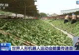 🇨🇳 중국 농촌에선 휴머노이드 로봇들이 열일하고 있다 🤖