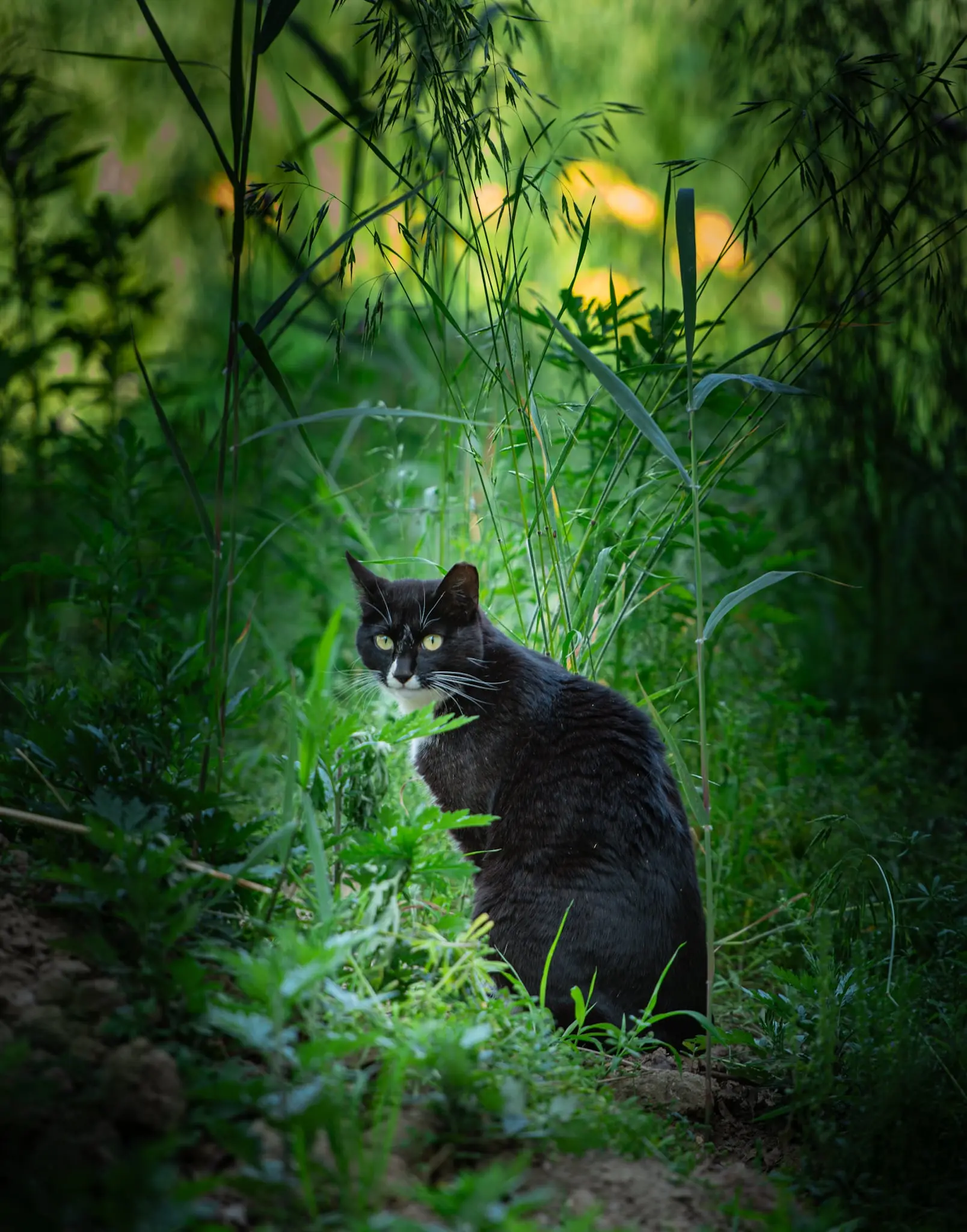 DSC_0320.jpg