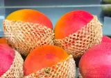🍉 압구정 현대백화점 과일 가격 근황
