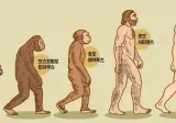 기어이 교과서에서 빼 버리고 만 인류의 진화 그림