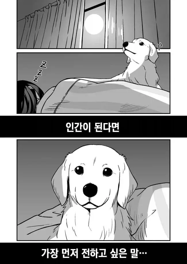 comic_new6-20260520-222715-001-resize.jpeg