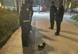 바짝 긴장한 신입 경찰.jpg