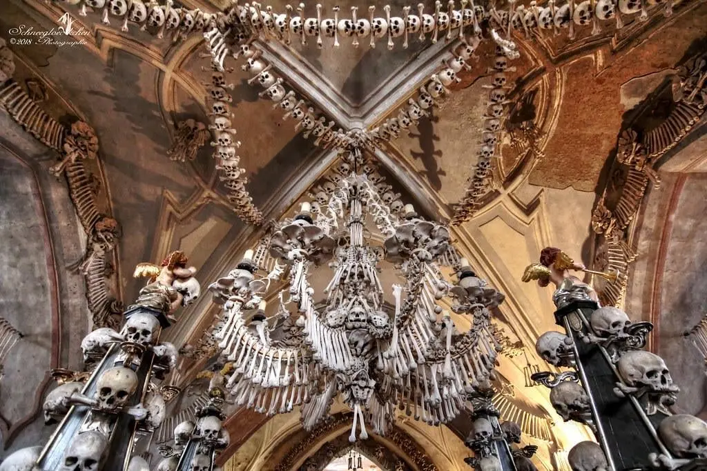 giving-dorns-skeleton-hand-a-run-for-its-money-v0-b1zcqlf7282h1.jpeg