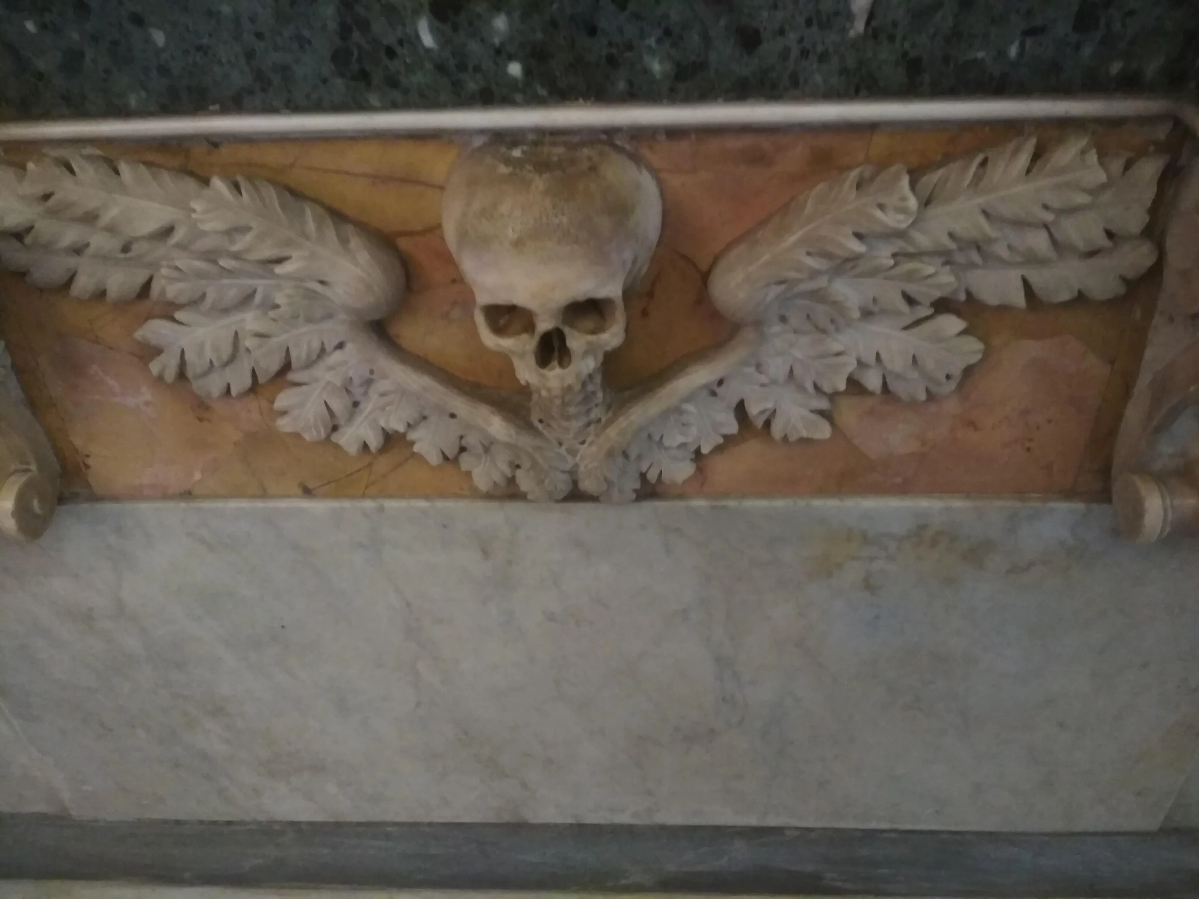 giving-dorns-skeleton-hand-a-run-for-its-money-v0-st66d7e0x32h1.jpeg