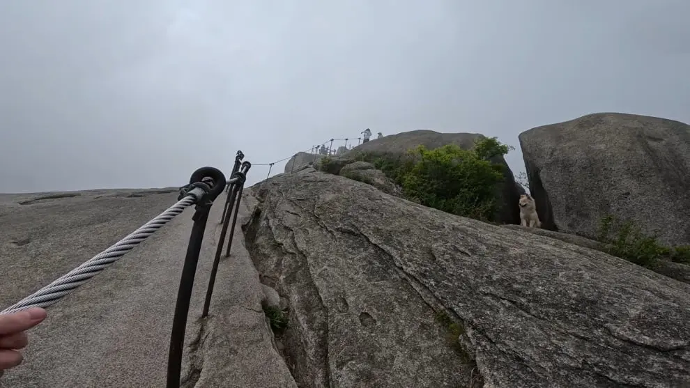 Blake Burnette - I Almost Died Hiking Alone in Seoul. [5rupp1T2iQE - 990x557 - 19m55s].jpeg