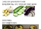 옛날 김치에 대해 알아보자.jpg