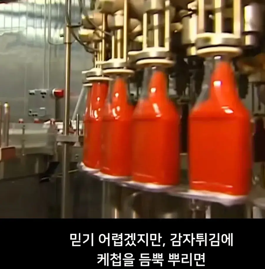 1000004420.jpg 감자튀김에 케찹을 꼭 뿌려야하는 이유.jpg