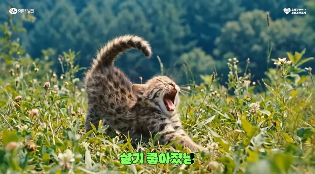 Screenshot_20260523_121523_YouTube.jpg