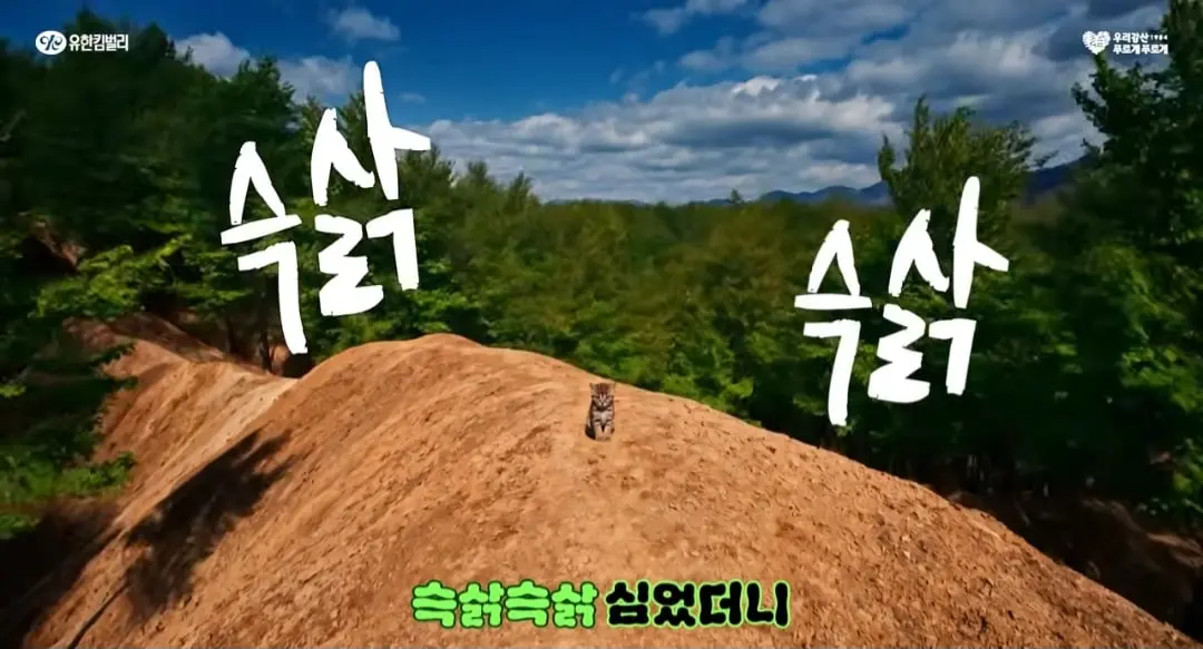 Screenshot_20260523_121518_YouTube.jpg