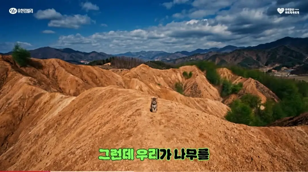 Screenshot_20260523_121516_YouTube.jpg