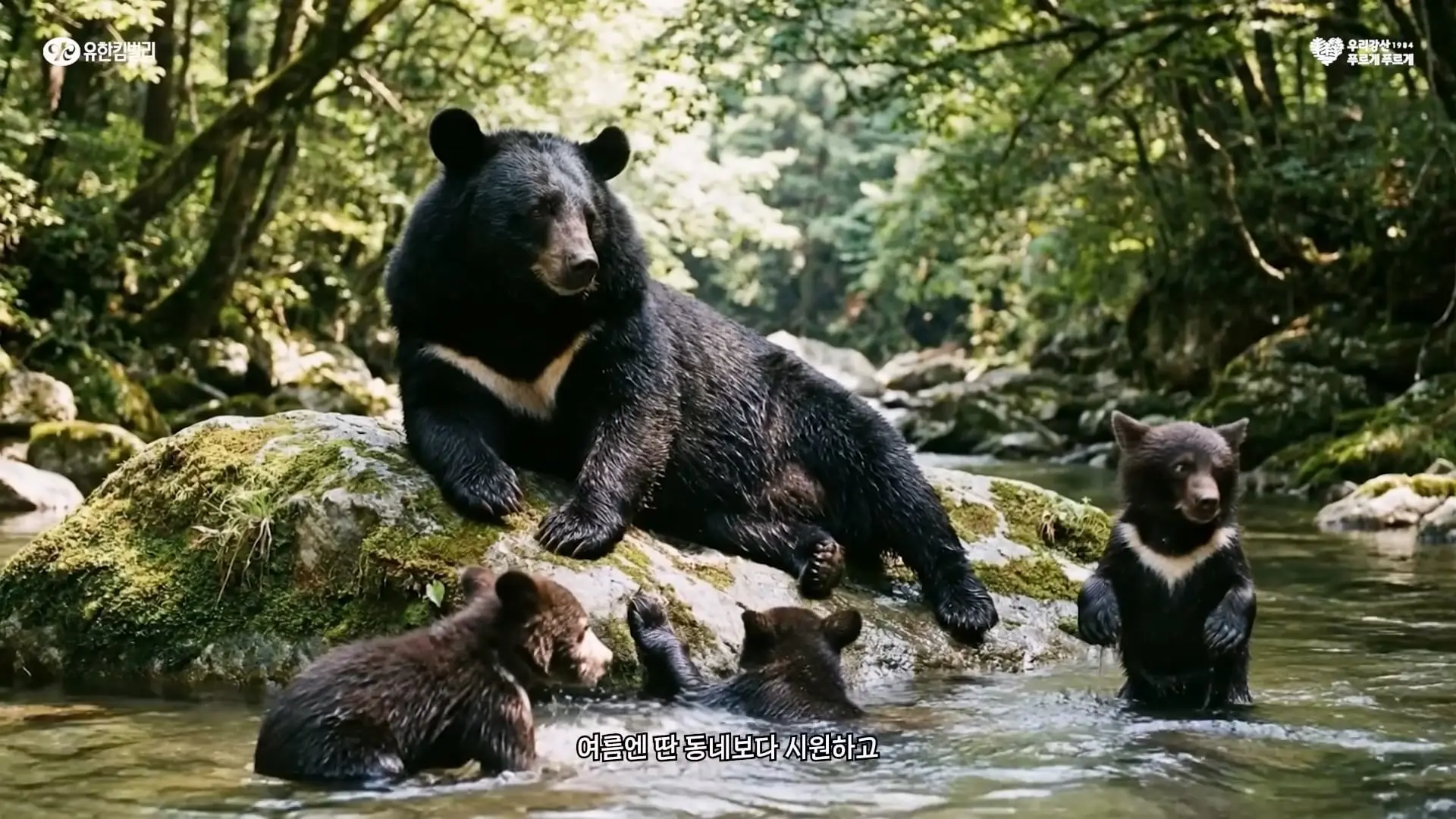 우리 곰팅이 우리집 자랑! 숲세권 클라스, 우리강산 42년산입니다🌳_20260523_174226.543.jpg
