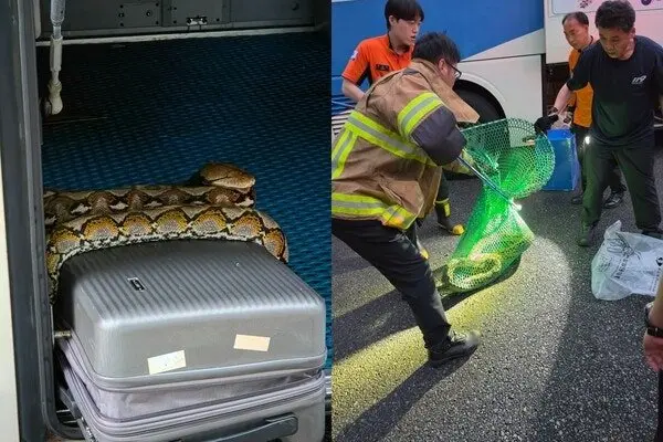 20260523214432_EvMlr4Apje.jpeg