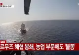 🇮🇷 호르무즈 해협 봉쇄로 식량 안보 비상..."6∼12개월 안에 위기 직면" 🚨