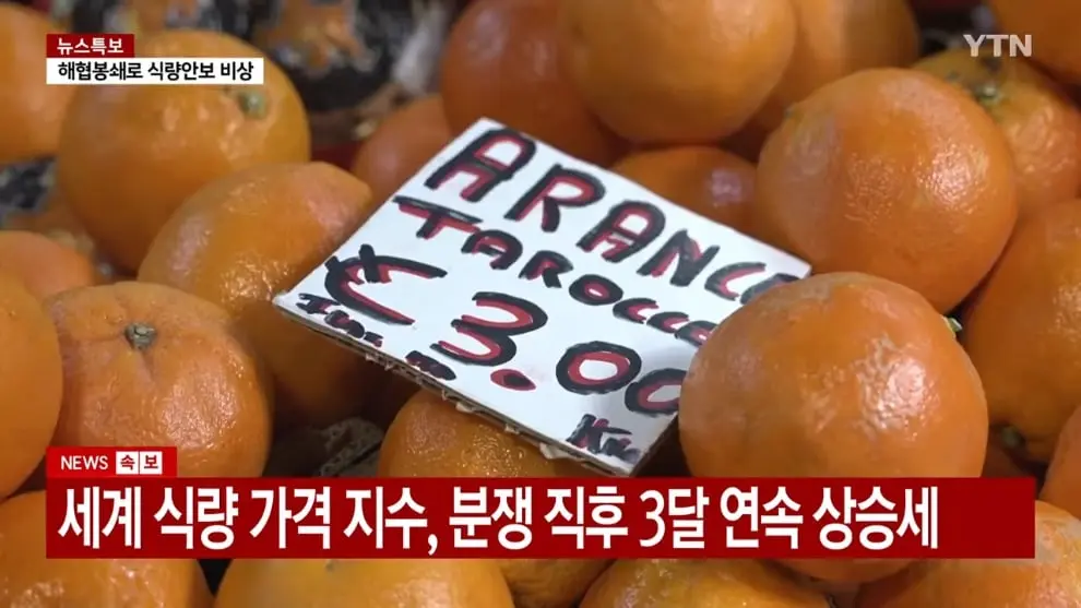 YTN - 식량 안보 비상.6∼12개월 안에 위기 직면 YTN [2nNxatXD-X4 - 990x557 - 1m06s].jpeg