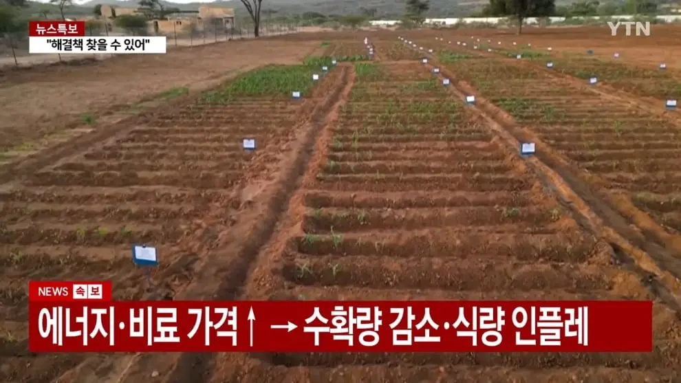 YTN - 식량 안보 비상.6∼12개월 안에 위기 직면 YTN [2nNxatXD-X4 - 990x557 - 1m00s].jpeg