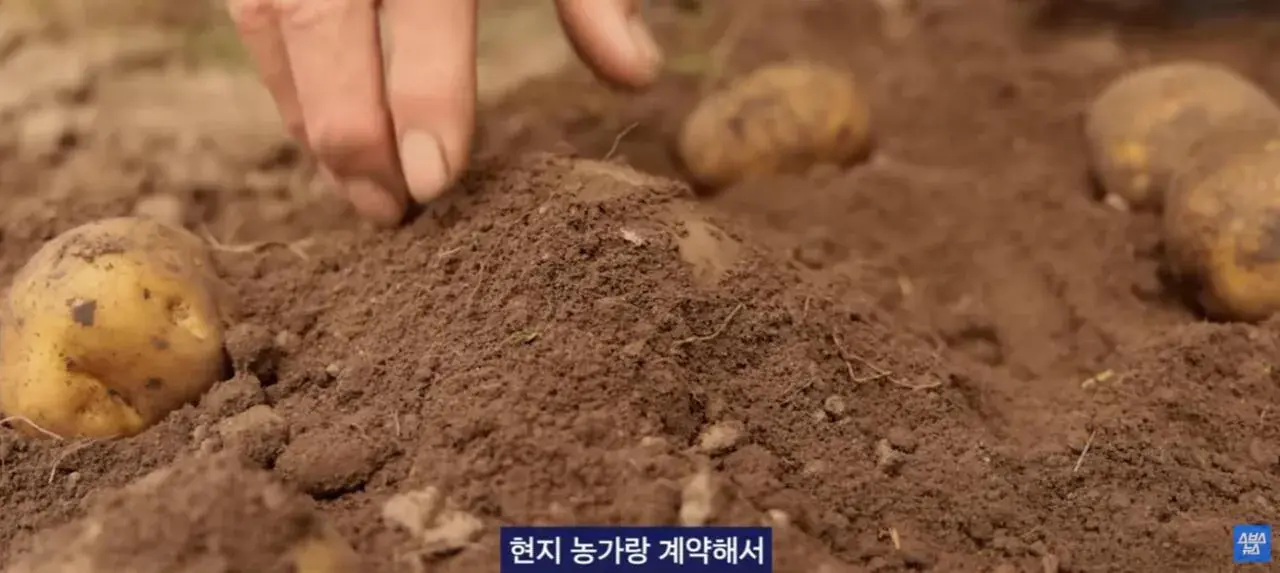 2026-05-24 16;12;40.JPG 중국에서 초대박 한국 과자.JPG