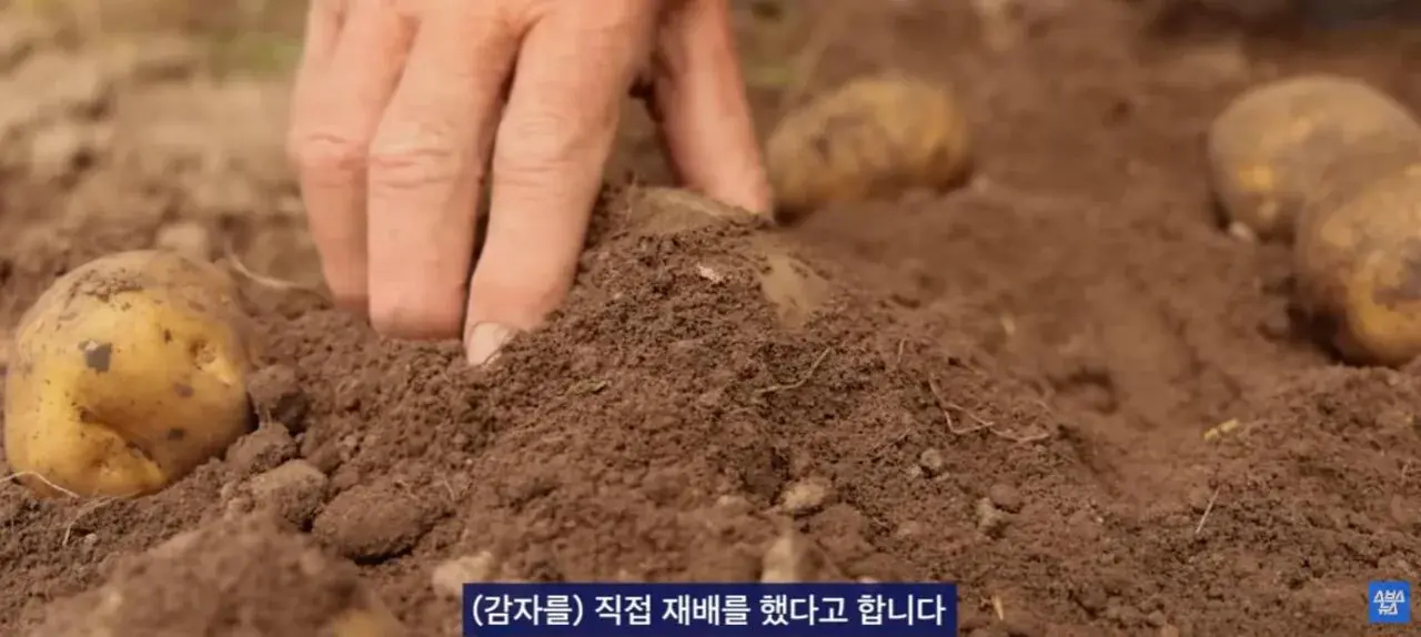 2026-05-24 16;12;50.JPG 중국에서 초대박 한국 과자.JPG