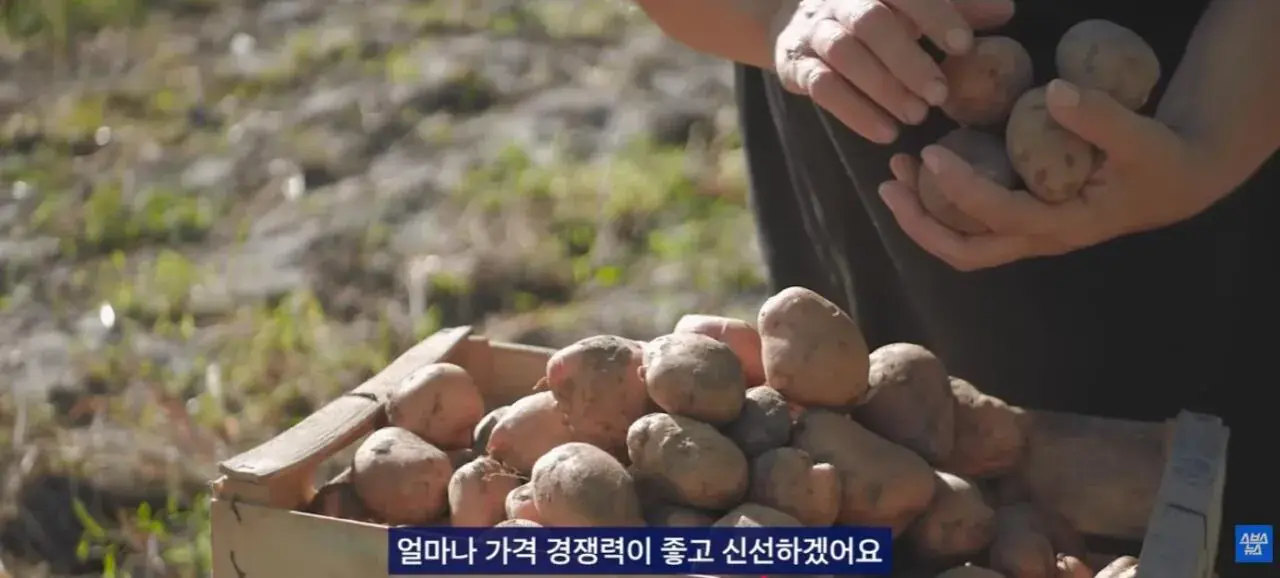 2026-05-24 16;13;11.JPG 중국에서 초대박 한국 과자.JPG