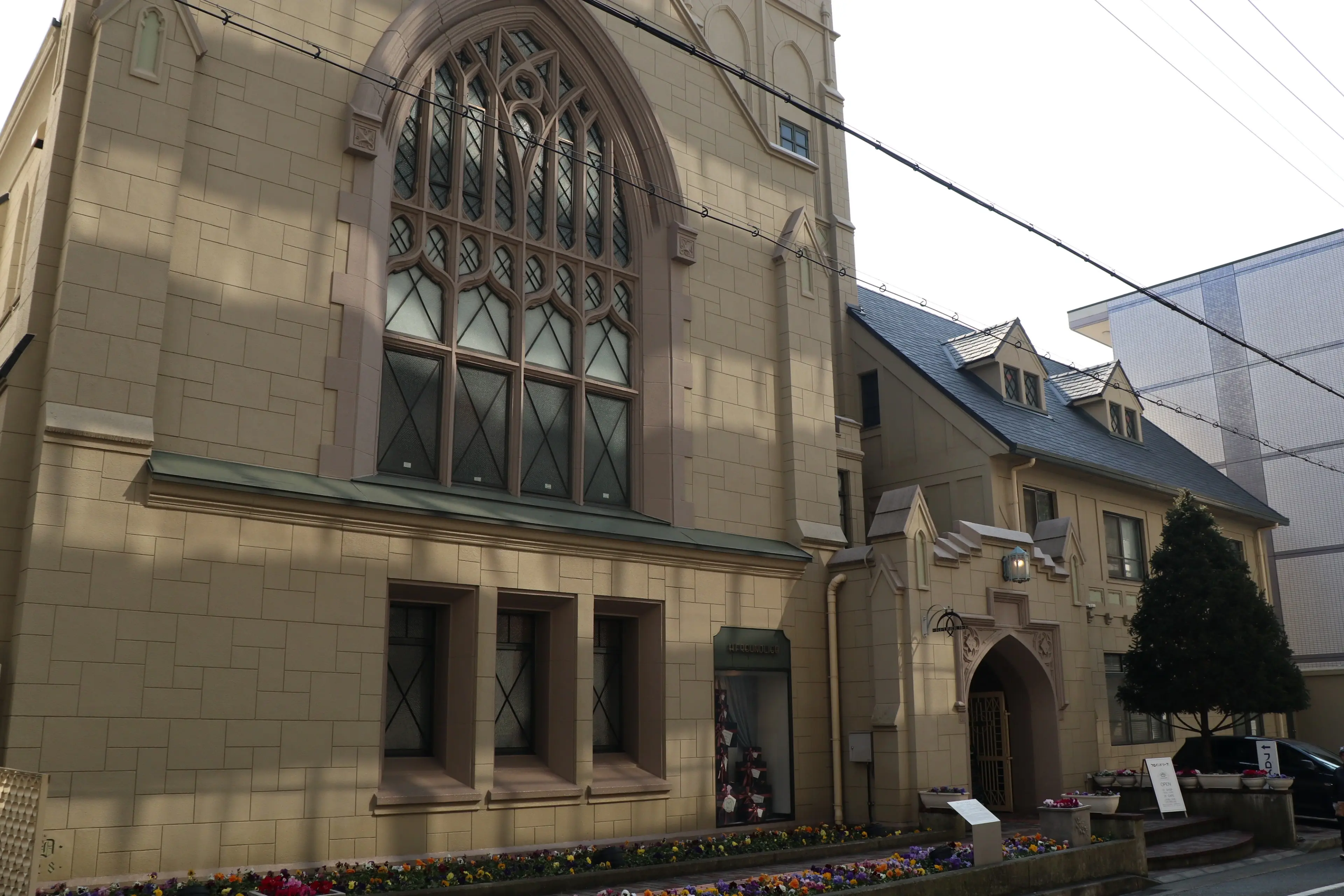 15.webp