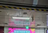 반려견 영양제 광고수준ㄷㄷ