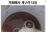커피에서 개구리 나옴 ㄷㄷㄷ;