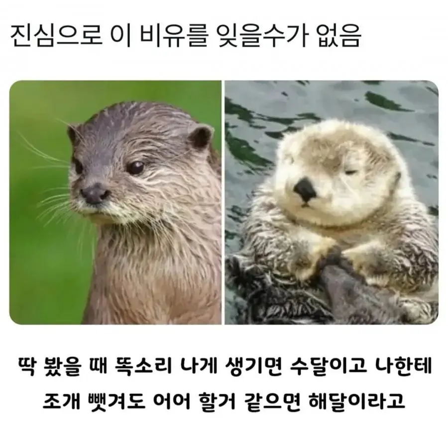 image.png 진심으로 이 비유를 잊을수가 없음