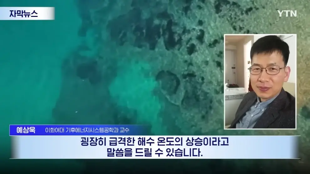 YTN - [자막뉴스] 이런 거 본 적 없다.올 여름 심상치 않은 조짐 YTN [wpvfVunzt7E - 990x557 - 0m27s].jpeg