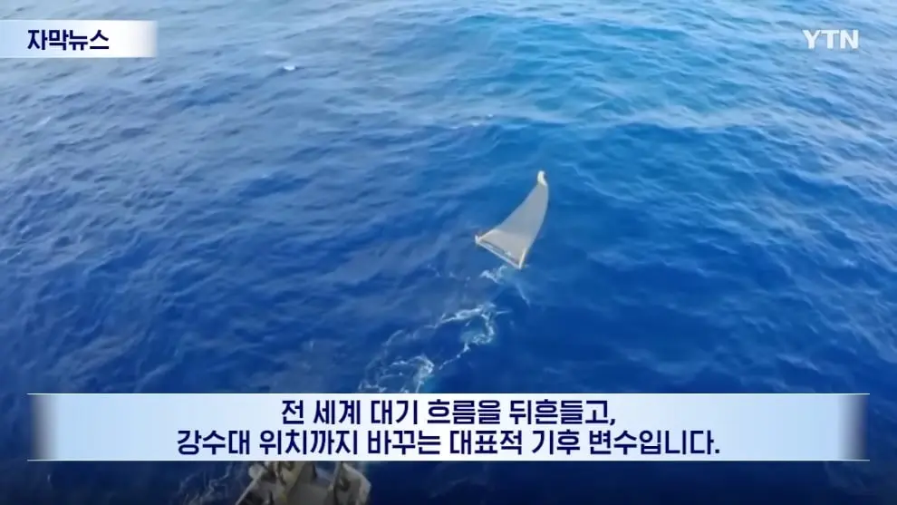 YTN - [자막뉴스] 이런 거 본 적 없다.올 여름 심상치 않은 조짐 YTN [wpvfVunzt7E - 990x557 - 0m39s].jpeg