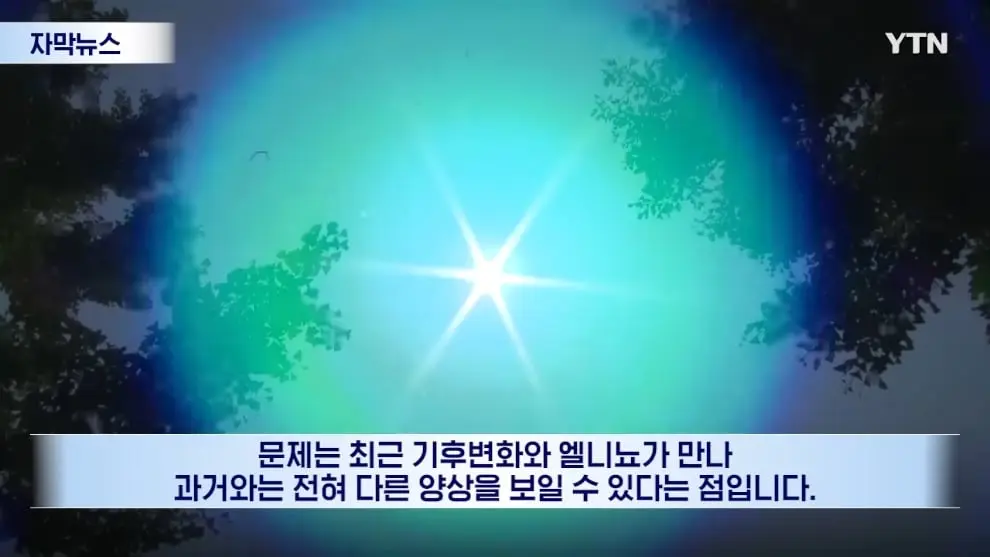 YTN - [자막뉴스] 이런 거 본 적 없다.올 여름 심상치 않은 조짐 YTN [wpvfVunzt7E - 990x557 - 0m51s].jpeg