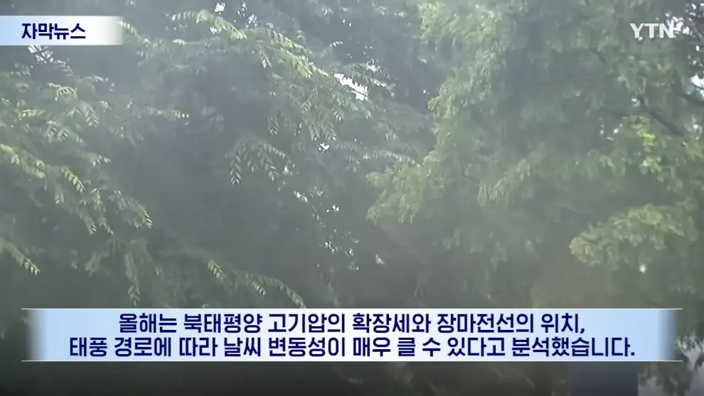 YTN - [자막뉴스] 이런 거 본 적 없다.올 여름 심상치 않은 조짐 YTN [wpvfVunzt7E - 990x557 - 1m03s].jpeg.png