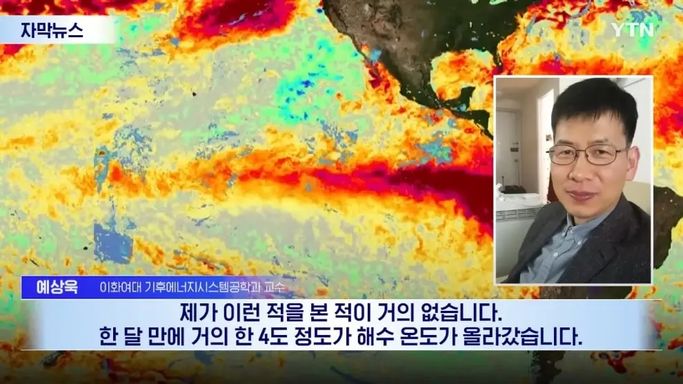 YTN - [자막뉴스] 이런 거 본 적 없다.올 여름 심상치 않은 조짐 YTN [wpvfVunzt7E - 990x557 - 0m20s].jpeg