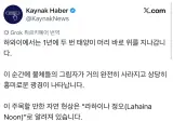 하와이에서 1년에 두번 관찰된다는 신기한 현상.jpg