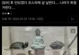 디씨 숏포지션갤에 나타났다는 애국 무당.jpg