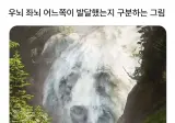 우뇌 좌뇌 어느쪽이 발달했는지 구분하는 그림