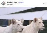 해외에서 화제인 한국 동물원.jpg