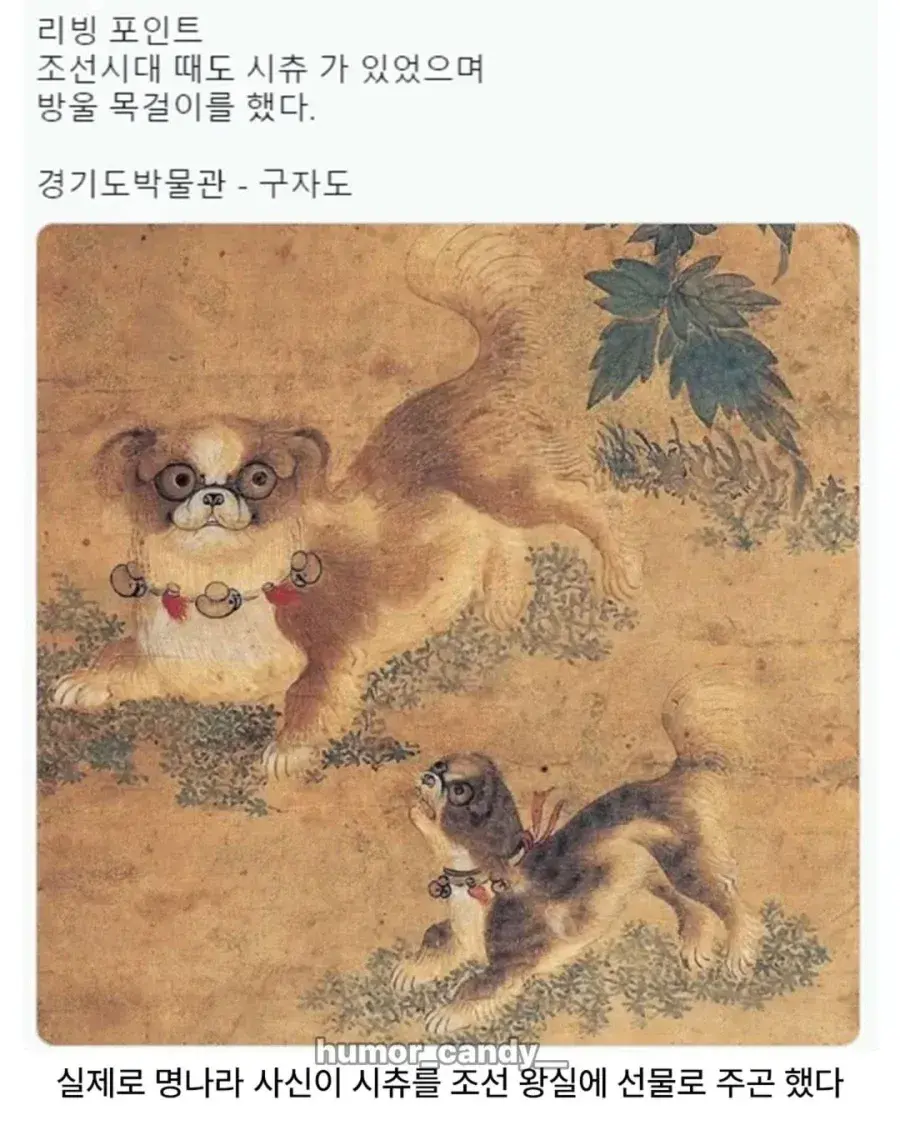 bbb38c73419c6bb71c3da437ab674d1bff8ba2d8fd32e7893942e7971096a308.webp 의외로 조선시대에 있었던 견종