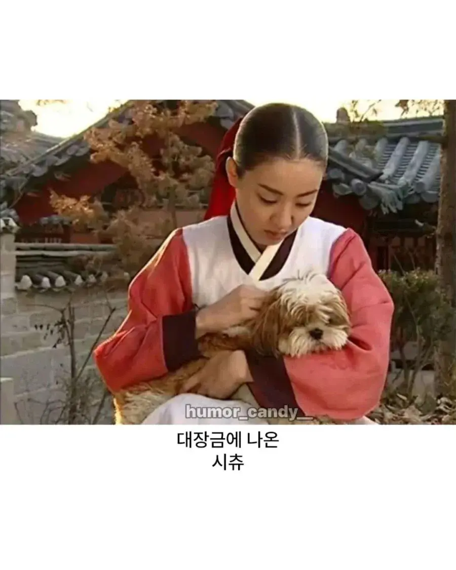 078906b5c0272df03420cd5de7dd30c198a88dd4bf5ab6e1fd26479591c635cd.webp 의외로 조선시대에 있었던 견종