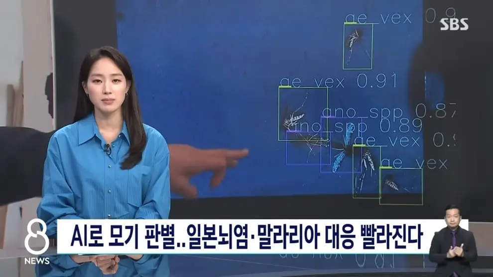 SBS 뉴스 - 모기 빨려 들어가더니 '전기 충격'.'세계 최초' 국내에서 개발 SBS 8뉴스 [v6I6wm0YQ64 - 990x557 - 0m18s].jpeg