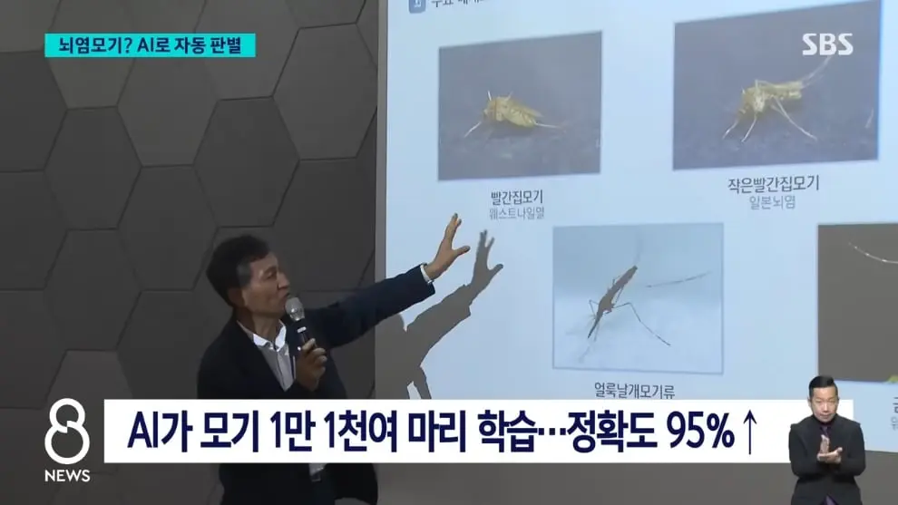 SBS 뉴스 - 모기 빨려 들어가더니 '전기 충격'.'세계 최초' 국내에서 개발 SBS 8뉴스 [v6I6wm0YQ64 - 990x557 - 1m25s].jpeg