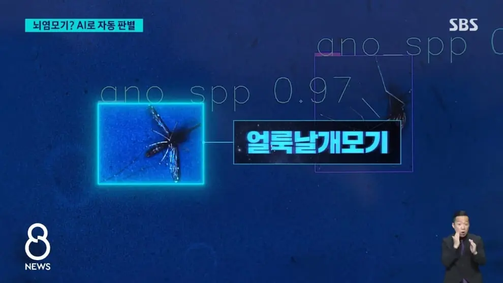 SBS 뉴스 - 모기 빨려 들어가더니 '전기 충격'.'세계 최초' 국내에서 개발 SBS 8뉴스 [v6I6wm0YQ64 - 990x557 - 0m57s].jpeg