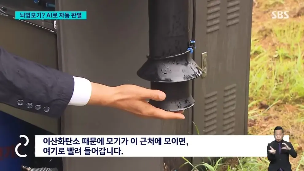 SBS 뉴스 - 모기 빨려 들어가더니 '전기 충격'.'세계 최초' 국내에서 개발 SBS 8뉴스 [v6I6wm0YQ64 - 990x557 - 0m30s].jpeg